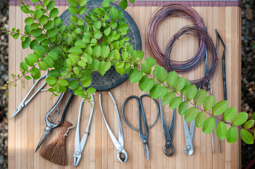 Tools for Pruning