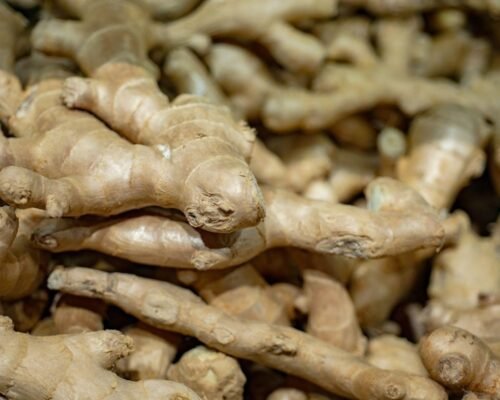 Best Ginger Varieties to Grow