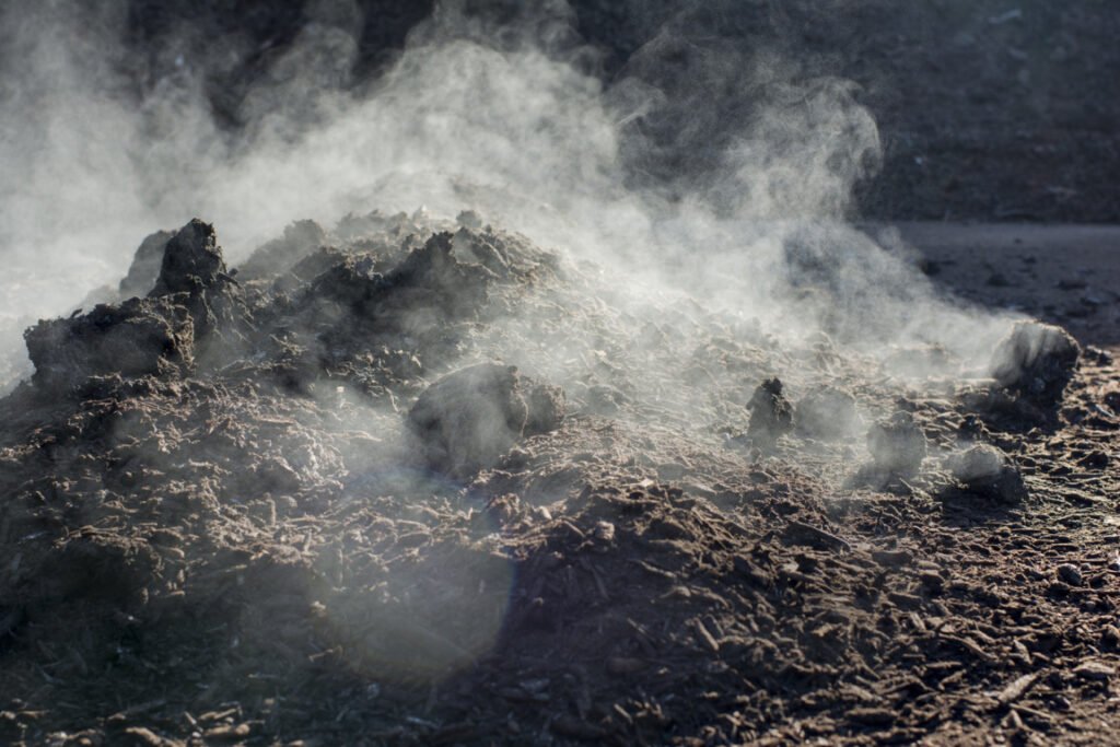 Compost processing