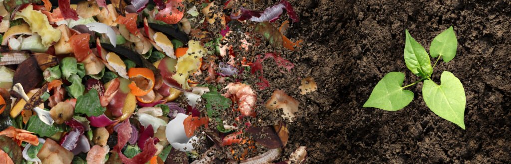 How to Speed Up Composting