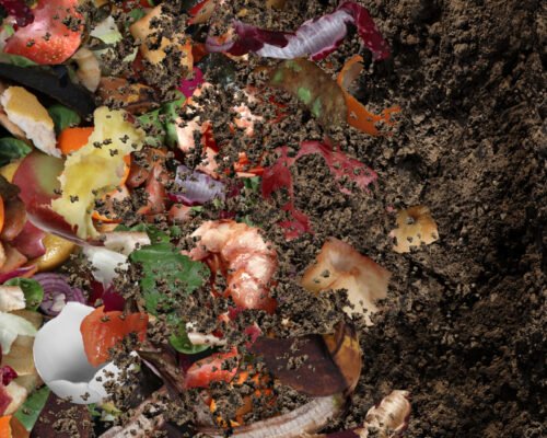 How to Speed Up Composting