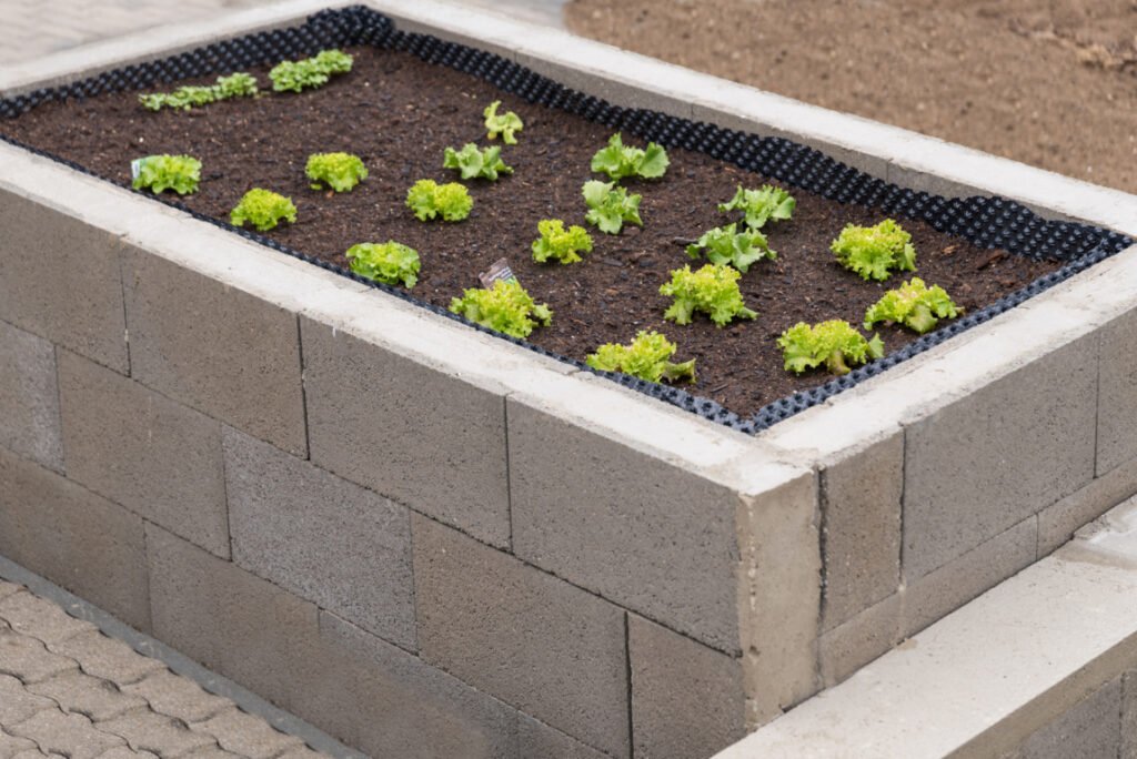 Concrete Waist High Beds