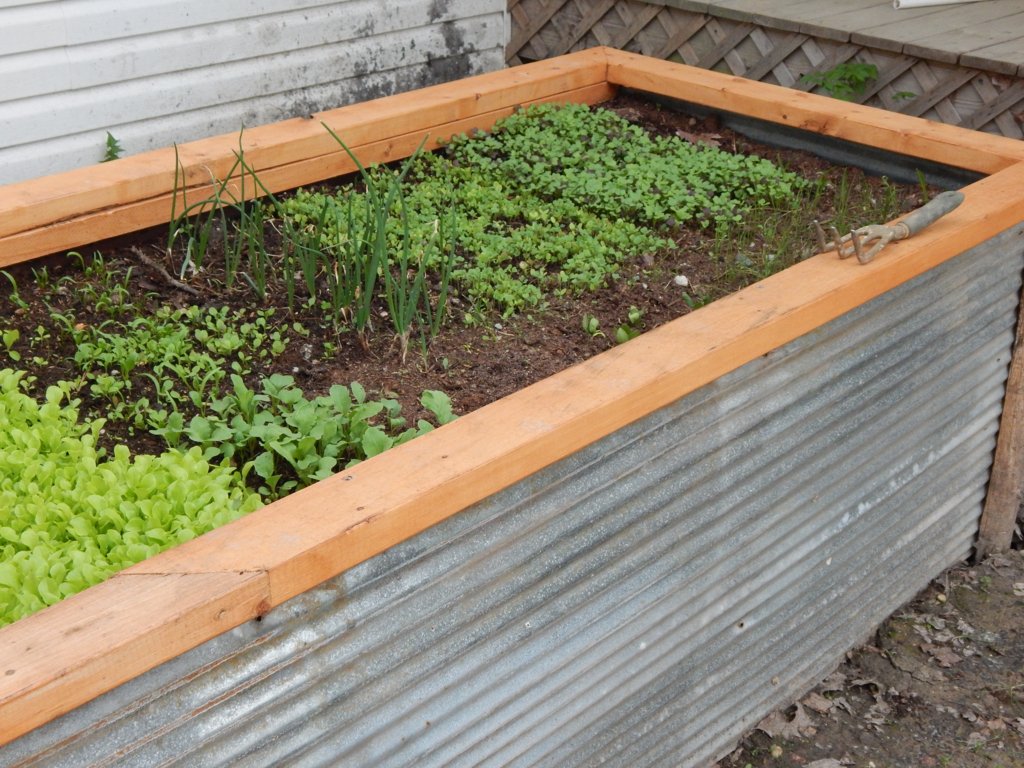 Corrugated Metal Raised Beds