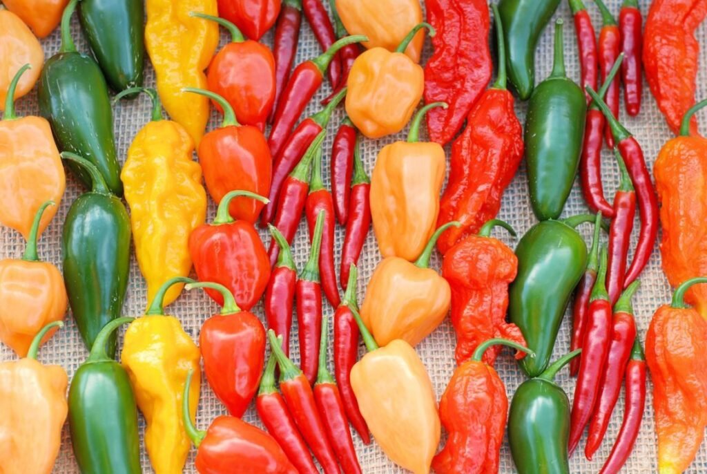 Different Peppers in Arrangement 