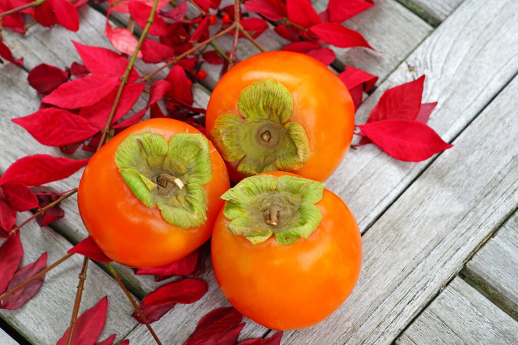 Hachiya Persimmon 