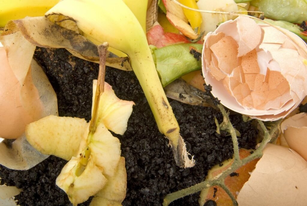 Kitchen Waste for compost