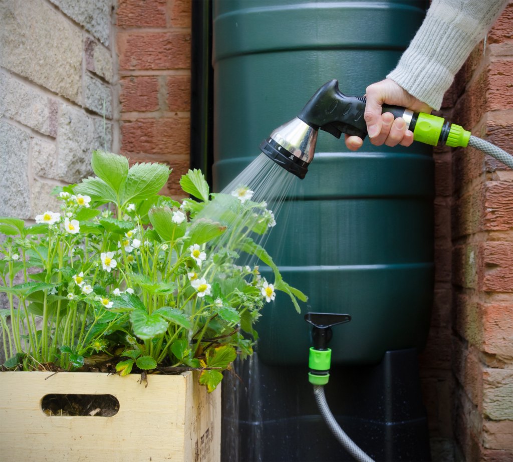 Make Tap Water Safe for Plants