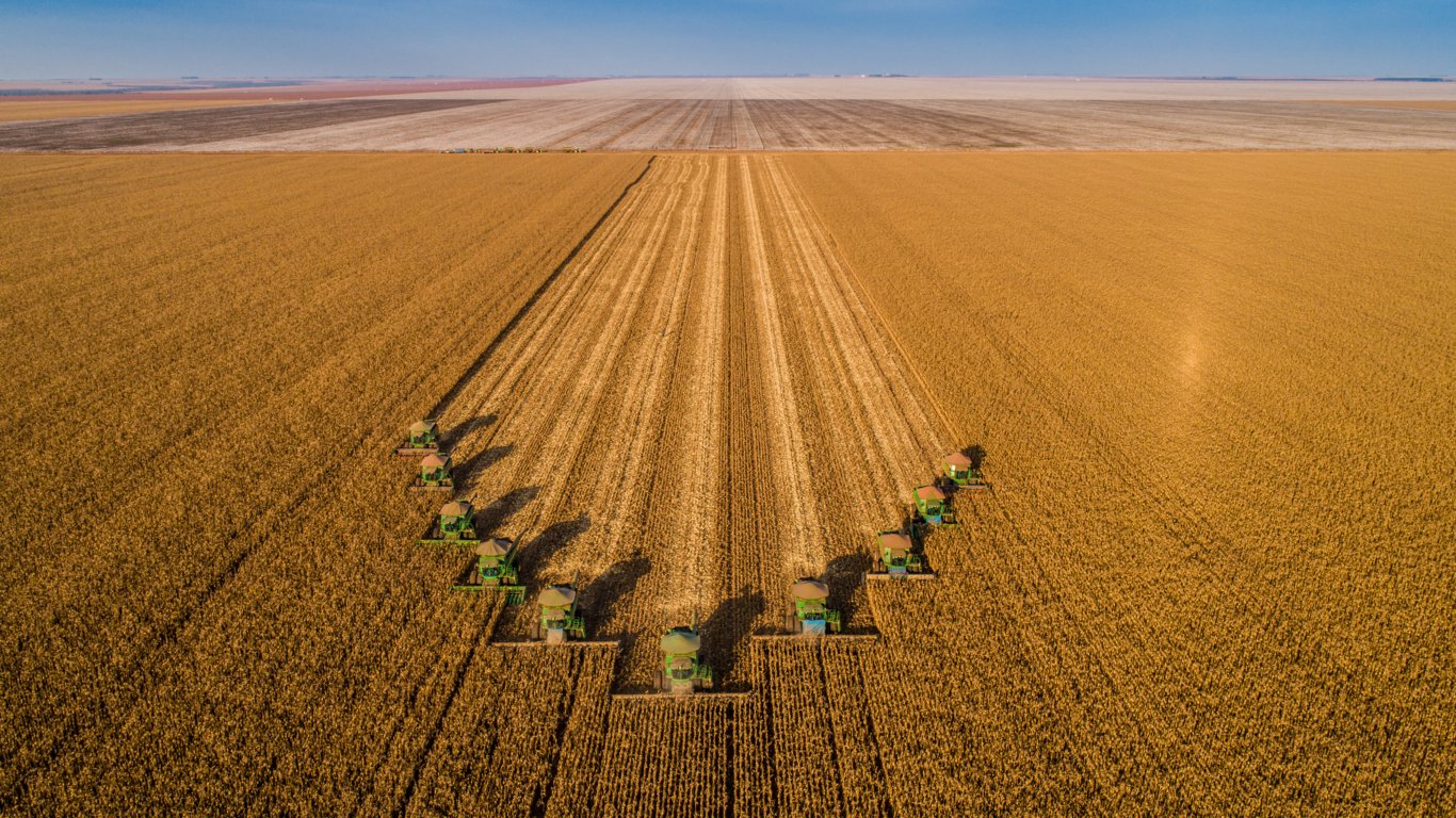 monoculture vs polyculture