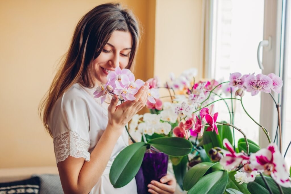 why are the flowers falling off my orchid