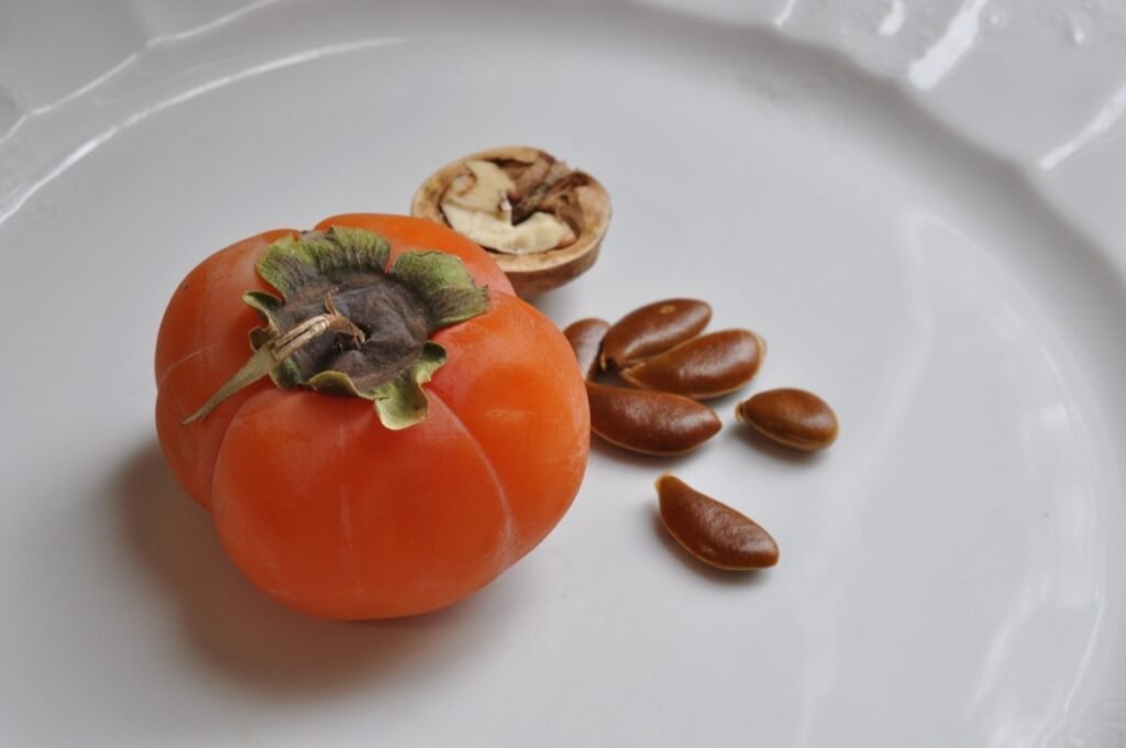 Persimmon fruit and Seeds