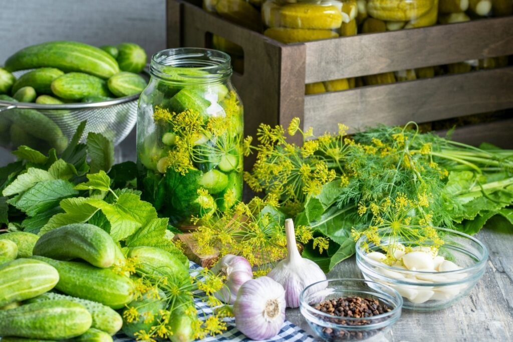 Pickle Preparation in Jar 