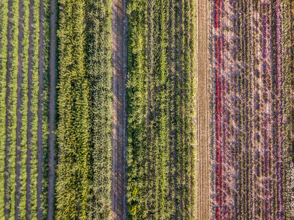 polyculture farming