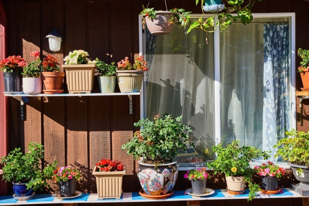 Pots on a Shelf