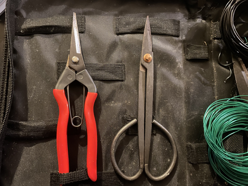 Tools for Pruning Bonsai