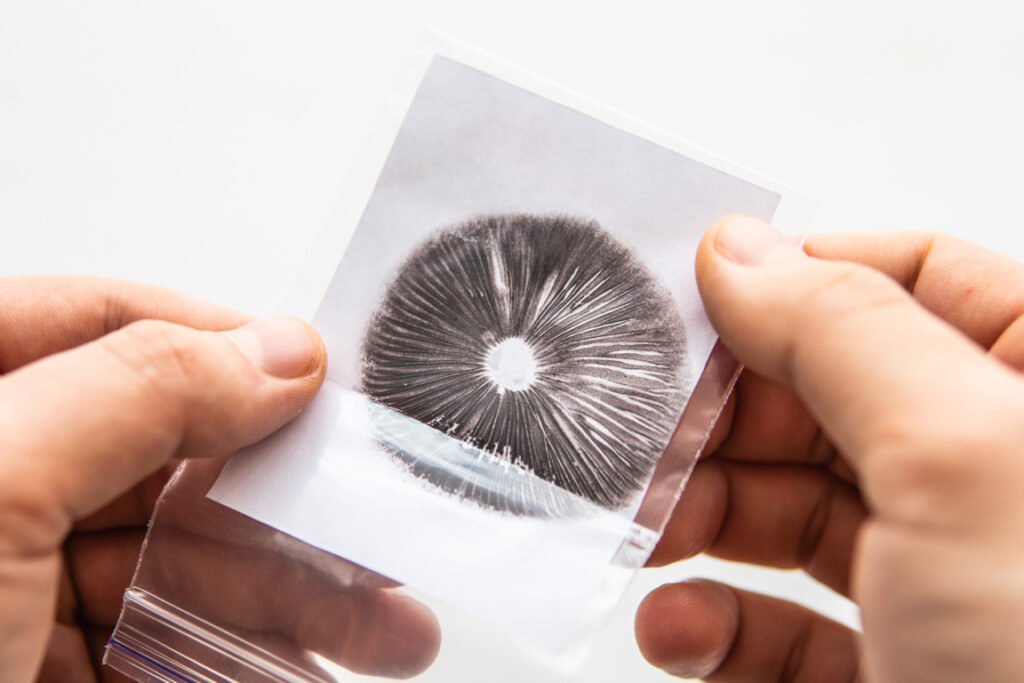 Spore Prints