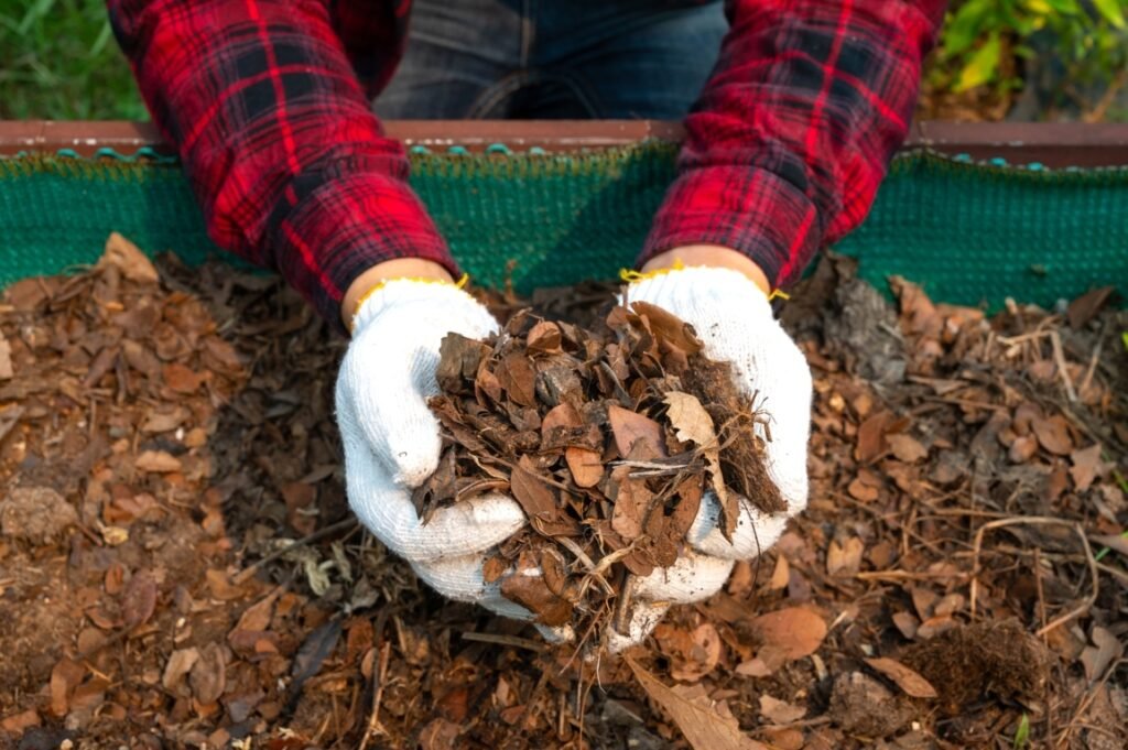 Leaves for Composting