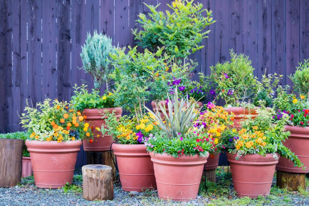 Terracotta pots