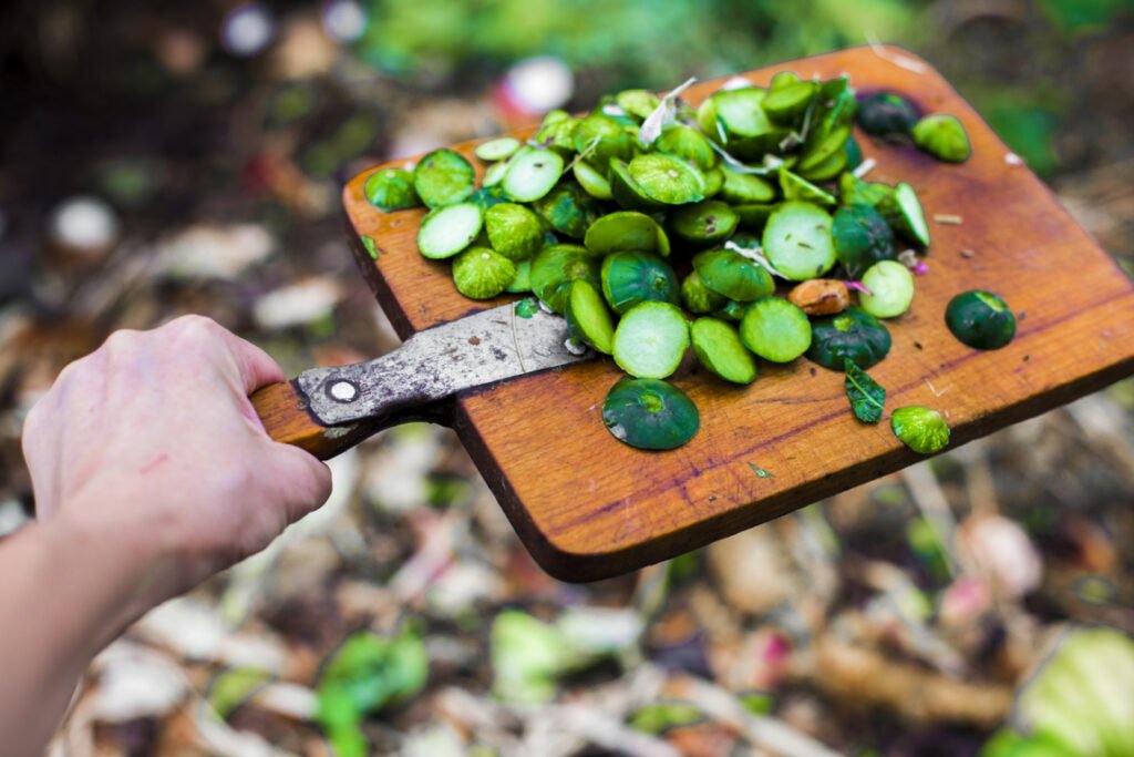 cucumber skins fertilizer