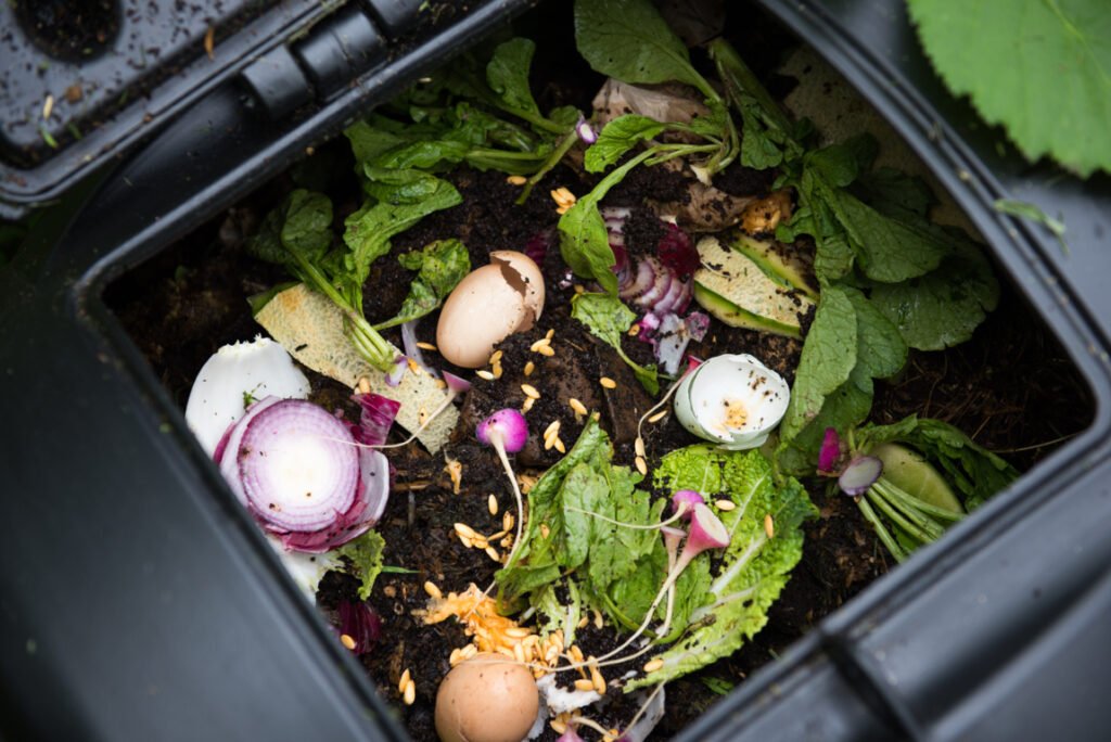 Kitchen waste compost