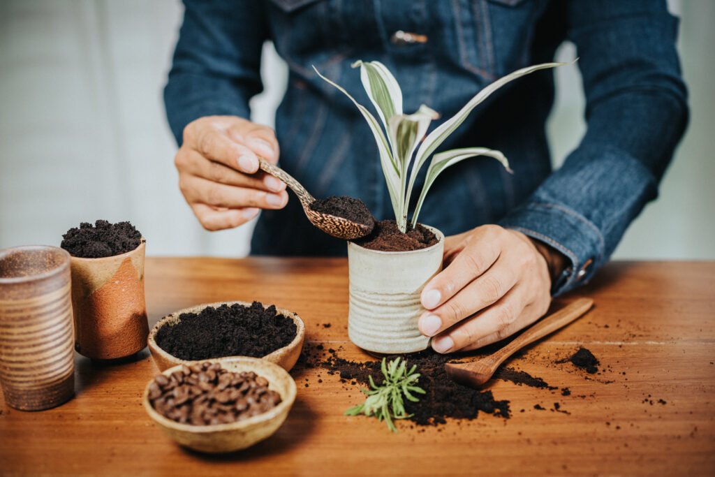 Coffee grounds fertilizer