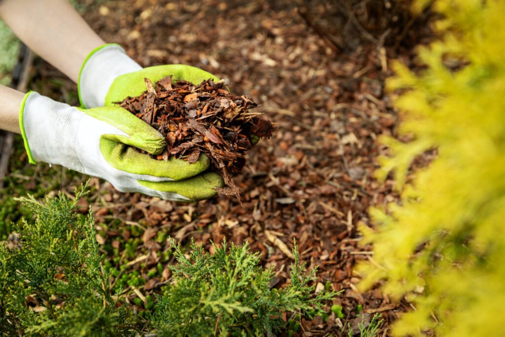 What is mulch