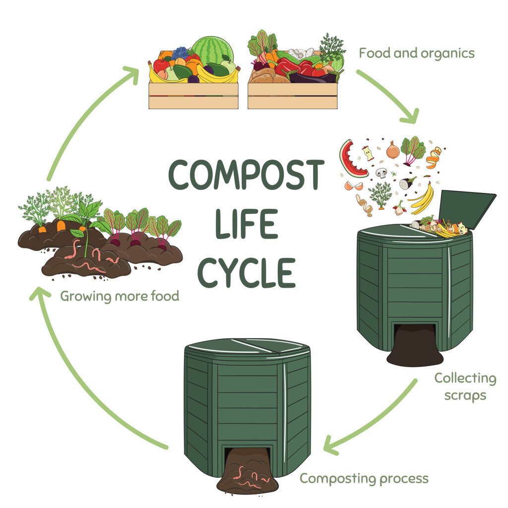 Compost Life Cycle