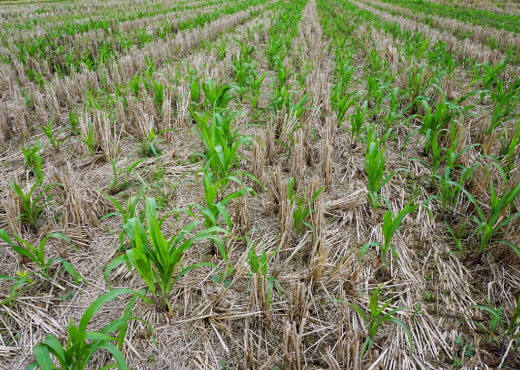 Conservation Tillage Features