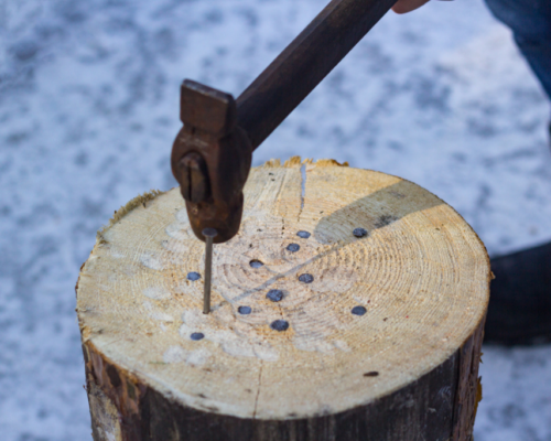 copper nail to kill tree