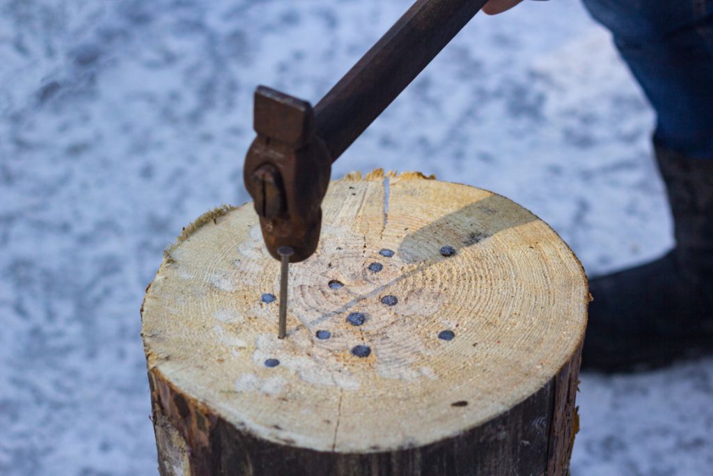 Copper Nails Kill Trees