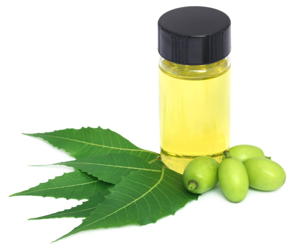 Neem Oil