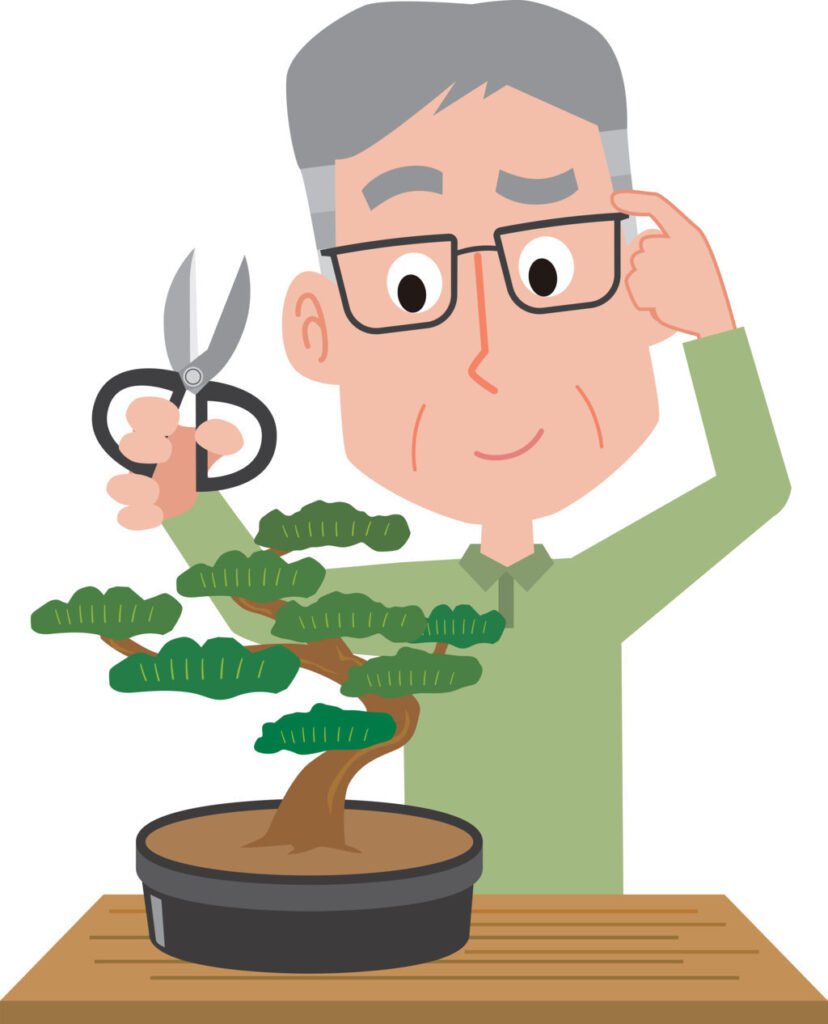 Pruning Bonsai Plant