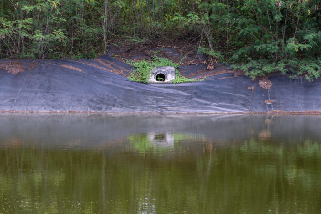 Reflective Mulch