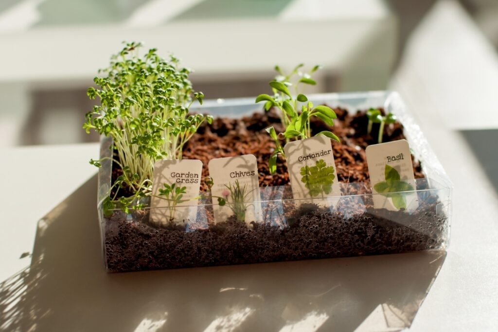 Soil for Herbs 