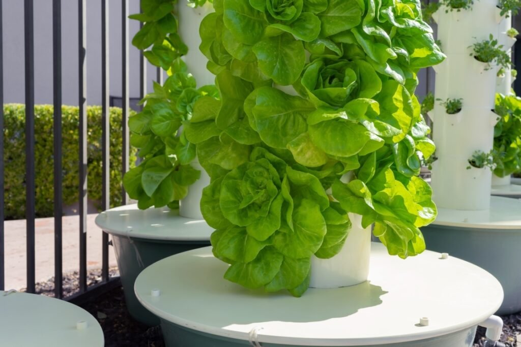 Vertical Hydroponic