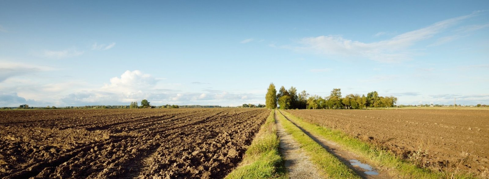 conservation tillage vs traditional tillage