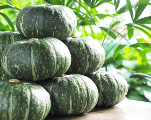 green pumpkin varieties