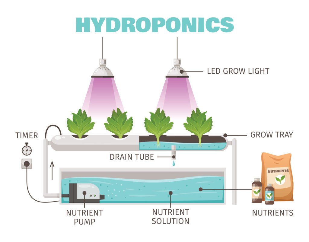 hydroponic System