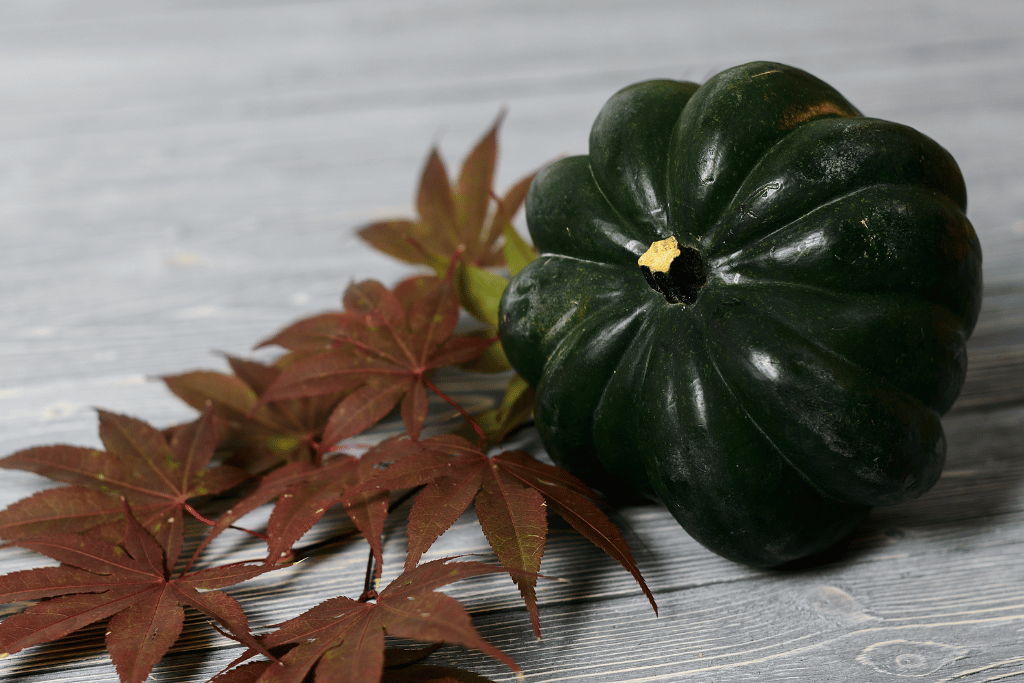 Acorn Squash Basics