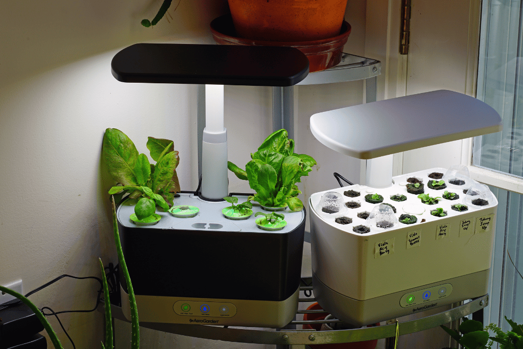 Growing Your Way: AeroGarden Harvest vs AeroGarden Harvest Elite