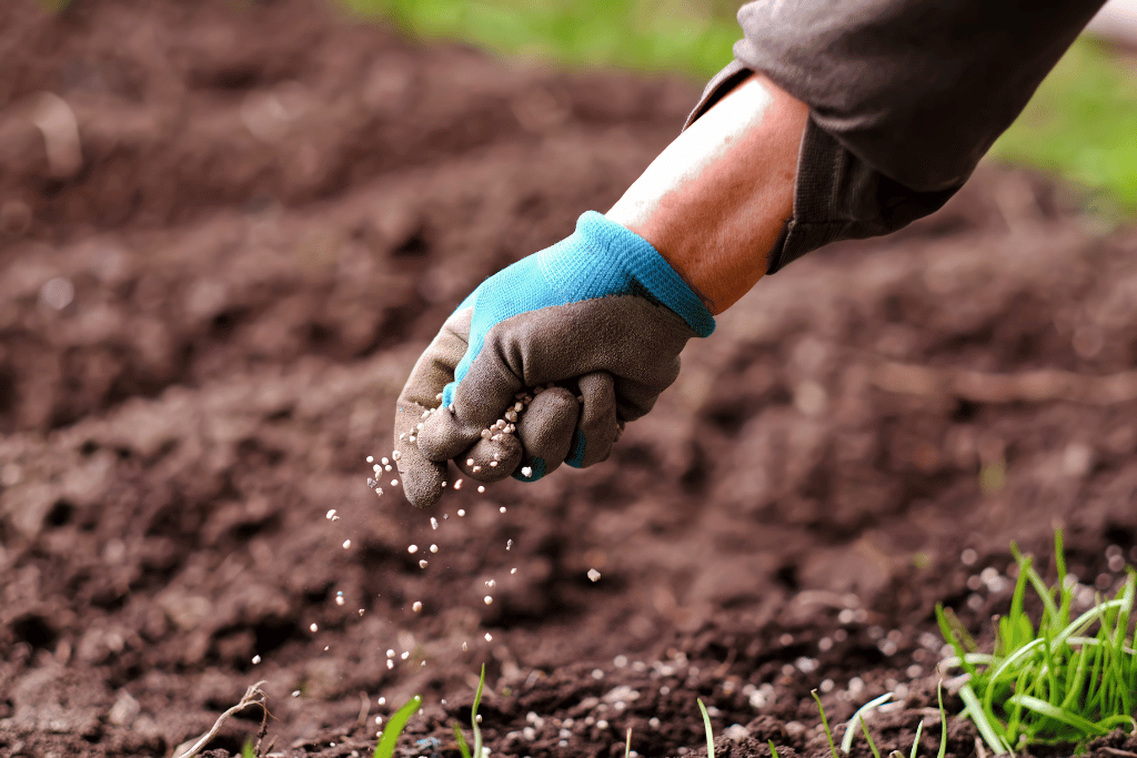 Applying Fertilizer