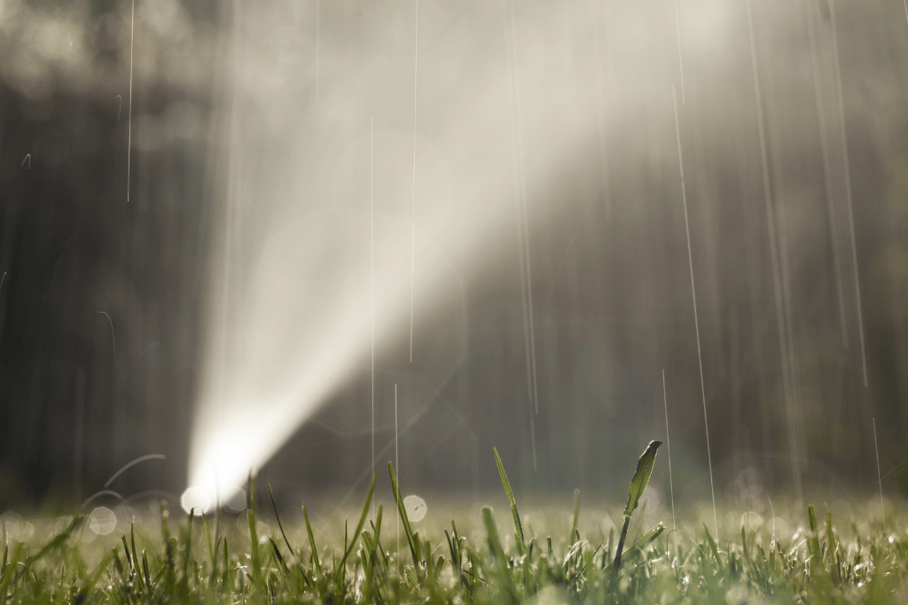 Watering Grass at Night