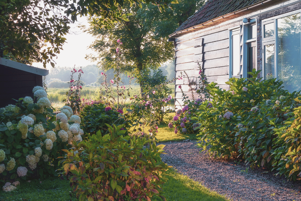 shrubs for shade in texas