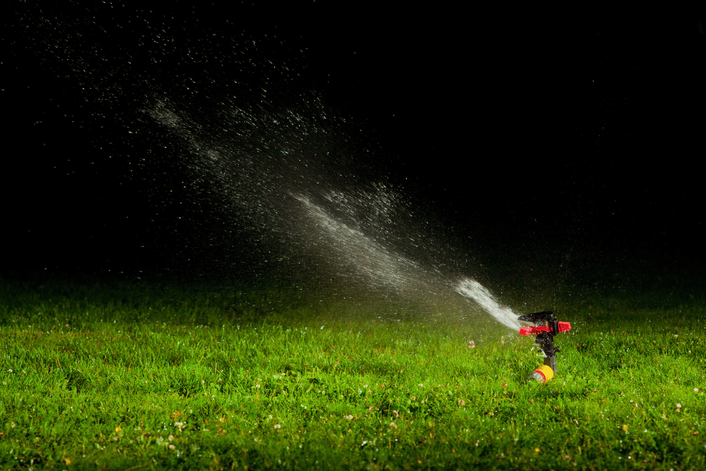 Water Lawn at Night