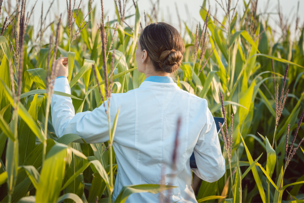 Plant Breeder