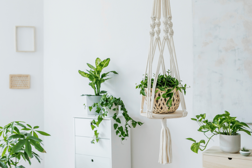 DIY Hanging Plant Shelf 