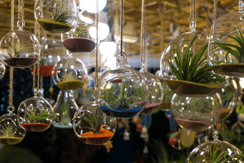 Glass Planters