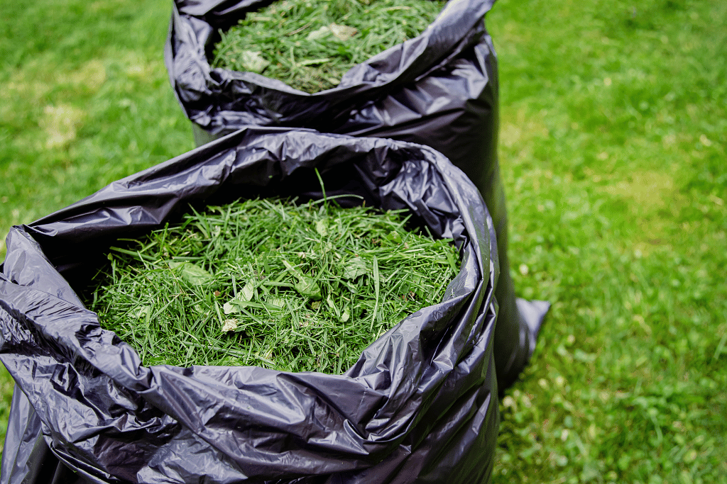 Grass Clippings