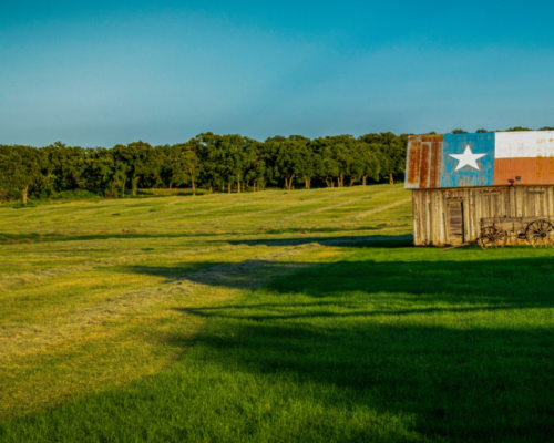 best grass for shade in texas