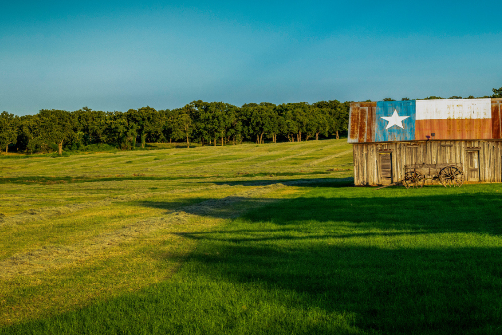 best grass for shade in texas