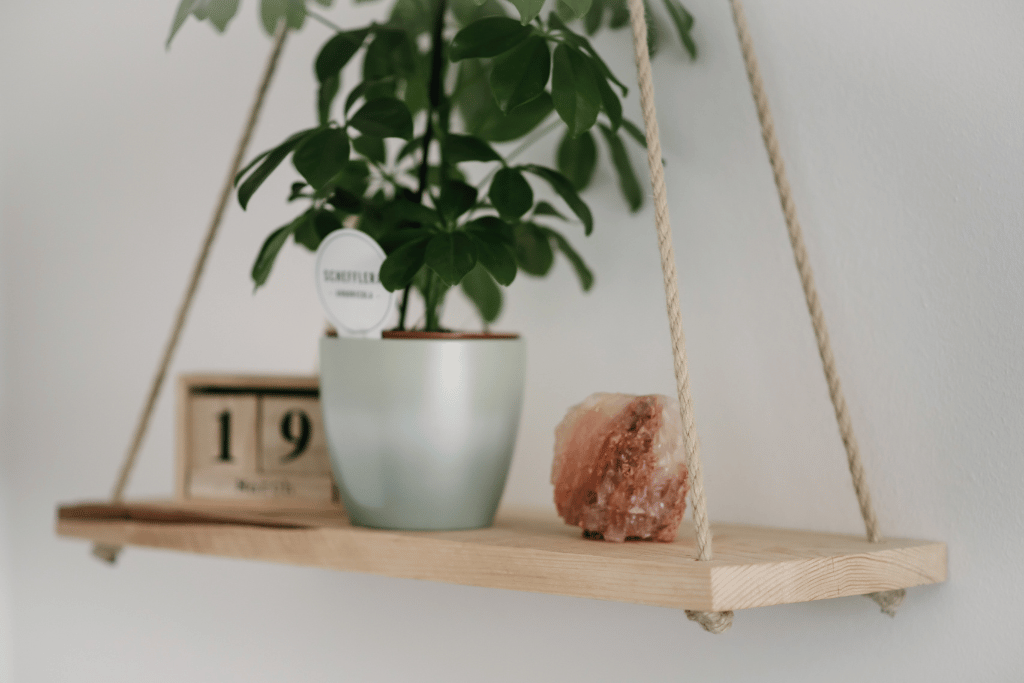 Hanging Plant Shelf